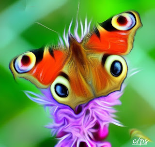 Schmetterling, mariposa, butterfly, fluture, papillon Insekten, insekte, insektet, intsektuak, insekti, Насекоми, insekter, insects, Putukad, Hyönteiset, insectes, έντομα, serangga, feithidí, skordýr, insetti