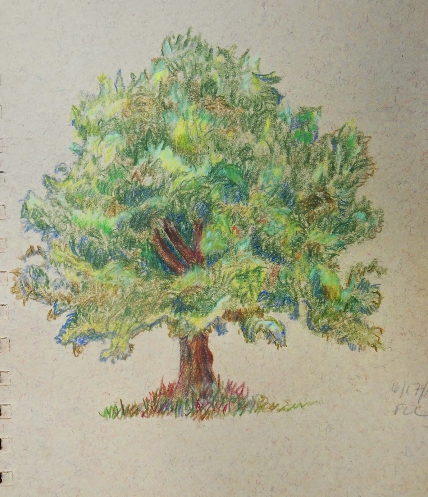 Color Pencil Tree Drawing