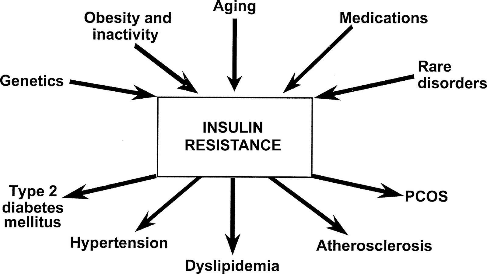Causes For Insulin Resistance Insulin Choices