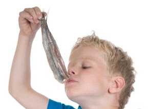 Dutch boy eating a herring in the traditional way 