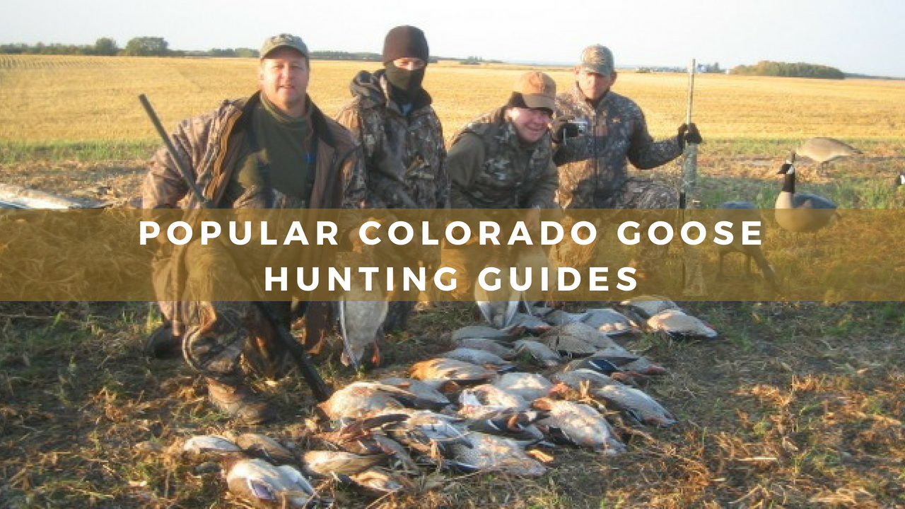 Epic Colorado Waterfowl Hunting Gear Tactics More - 07zs7u2