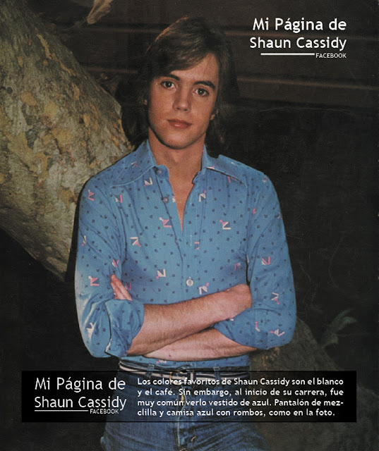 Mi página de Shaun Cassidy SHAUN CASSIDY RECARGADO EN UN ÁRBOL