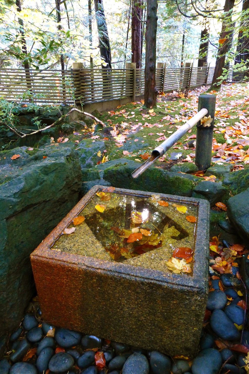 water basin Portland Japanese Garden