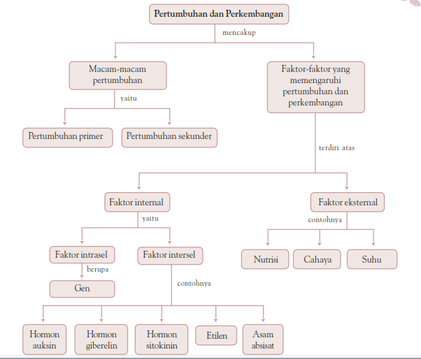 Rangkuman Biologi Bab Pertumbuhan dan Perkembangan - I.D.D.A.╚