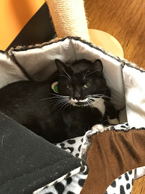 Milk mustache