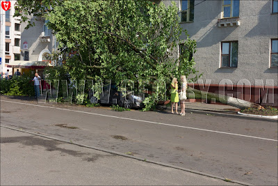 Минск. Дерево поваленное на автомобиль ураганом 13 июля