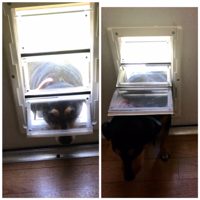 Top Notch Material "Air Seal" "Ultra Flex" Pet Door Has