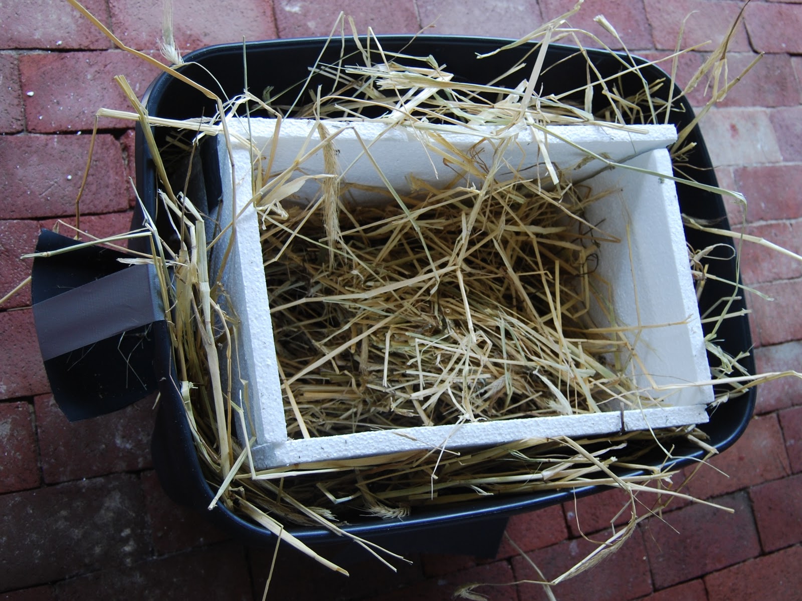 One Girl, Two Cats How to Build a Feral Cat Shelter