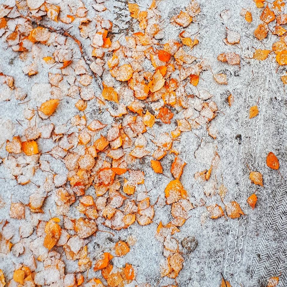 oranssi on uusi musta lesbo videomakea teini suku puoli video