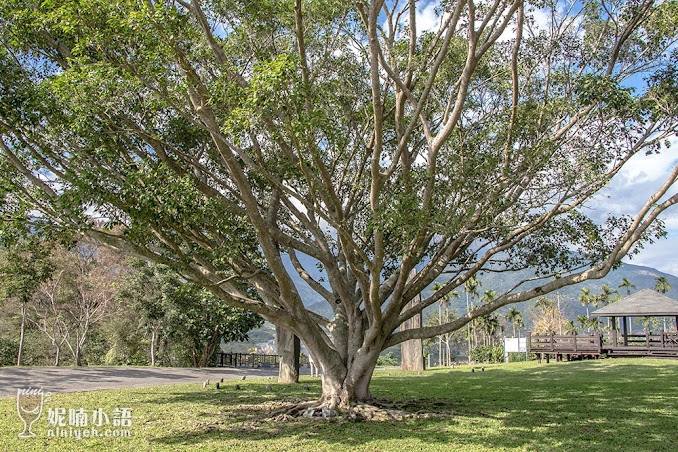 【花蓮瑞穗景點】掃叭石柱遺址。史前遺跡舞鶴佇立 【花蓮瑞穗景點】掃叭石柱遺址。史前遺跡舞鶴佇立