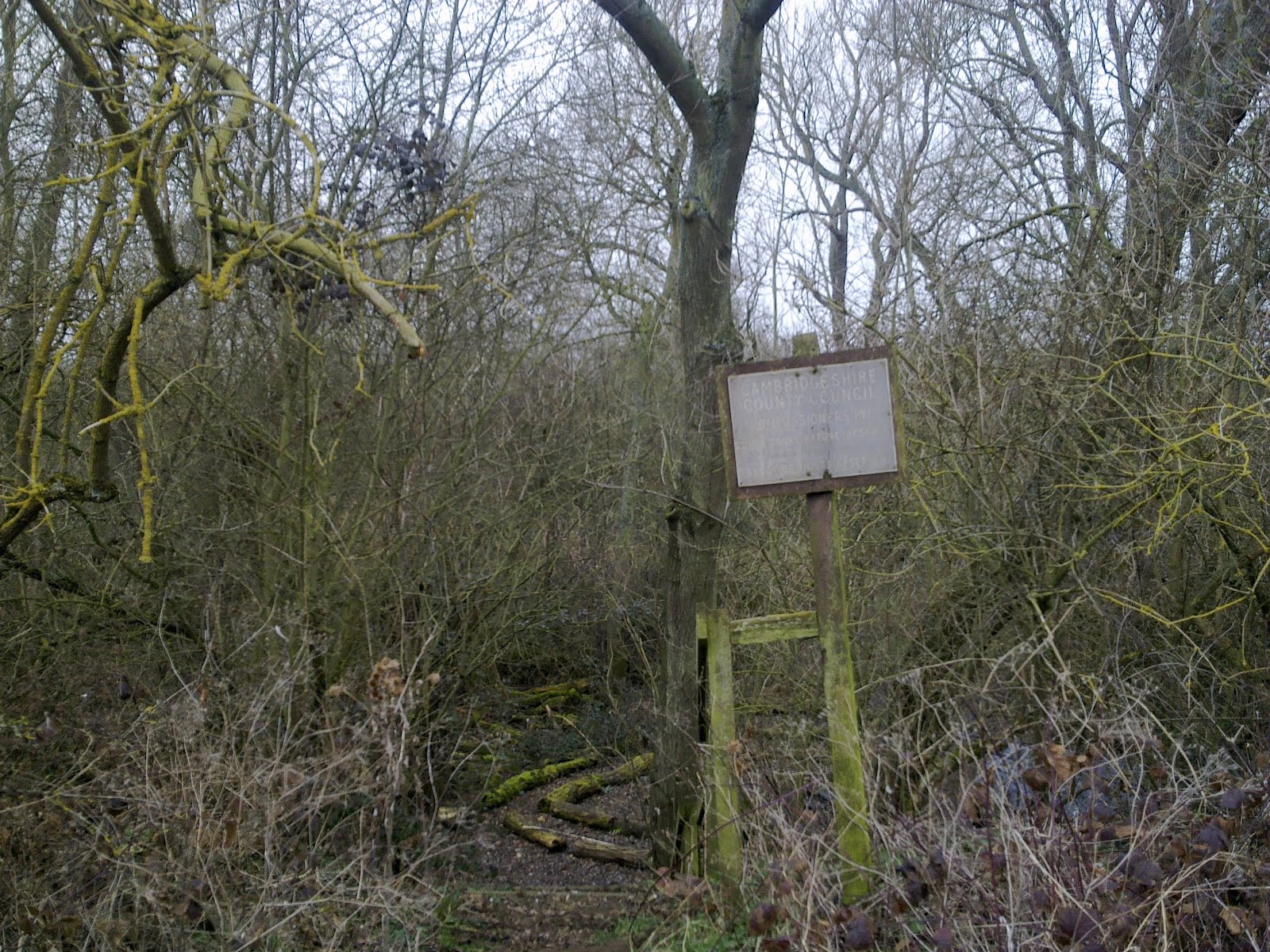 The Wicken Fen Rangers' Blog A nice walk to Kingfisher Bridge