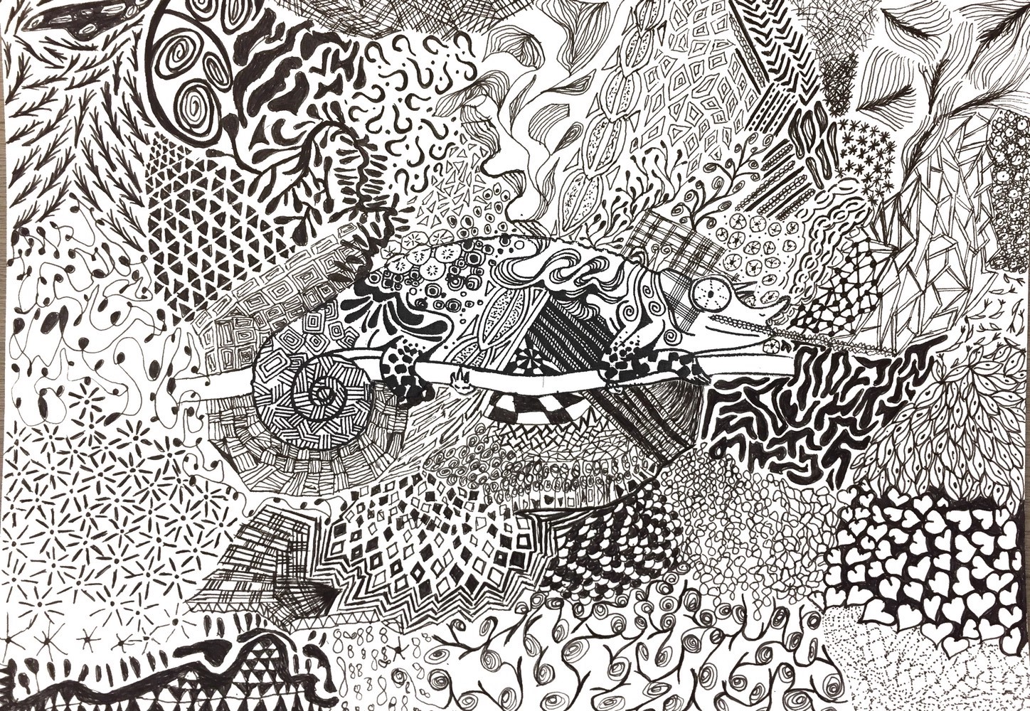 STV Arts Plastiques - Saint Thomas de Villeneuve : Visible & invisible