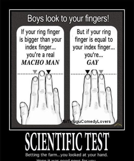 Take The Gay Test 116
