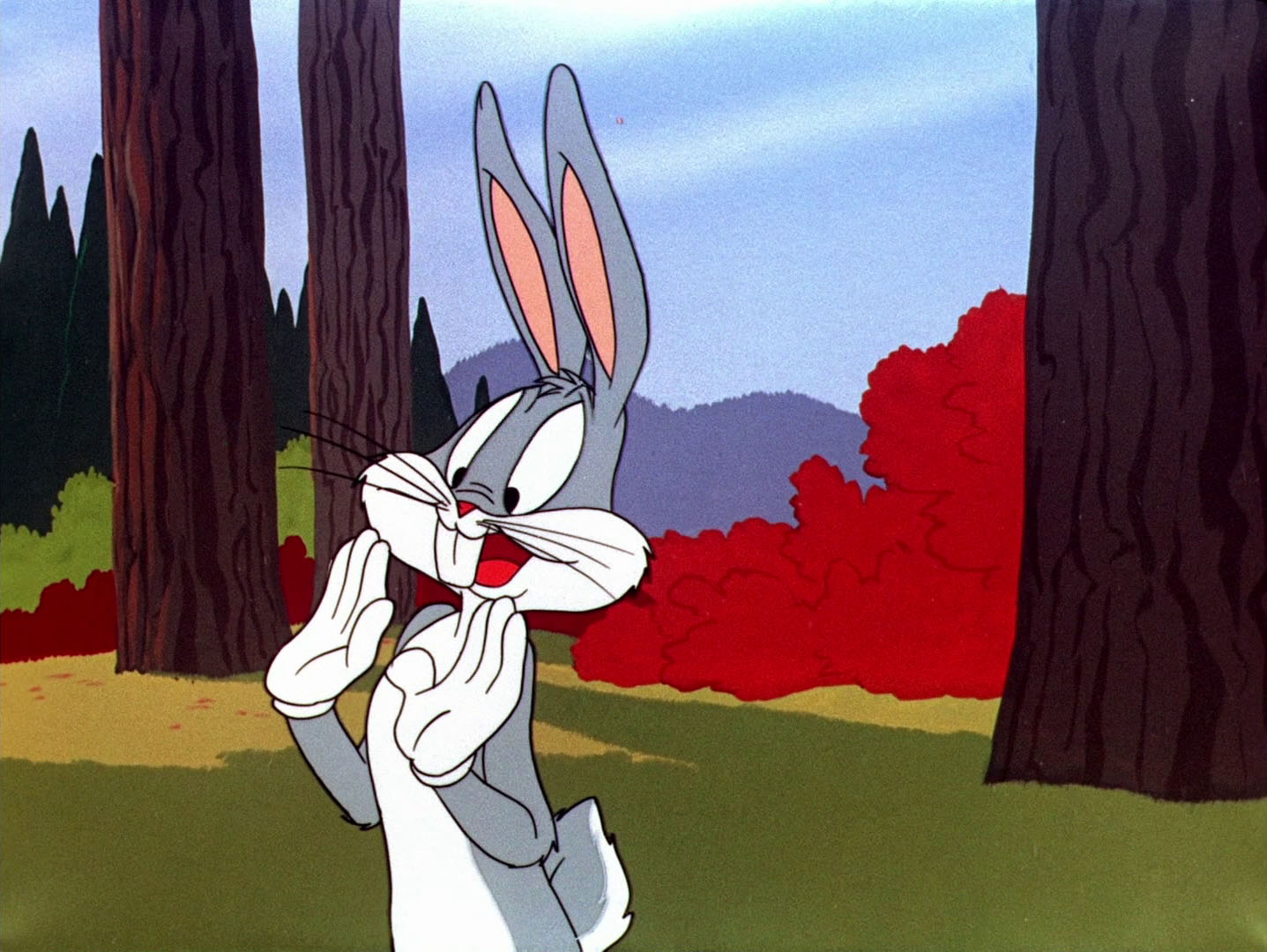rabbit in looney tunes rabbit in looney tunes