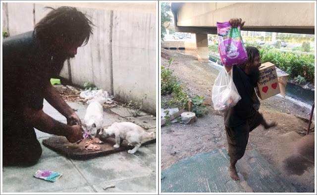 MasyaAllah, Tunawisma ini Jualan Jeruk Buat Beli Makanan Kucing Liar, Kisahnya Buat... MasyaAllah, Tunawisma ini Jualan Jeruk Buat Beli Makanan Kucing Liar, Kisahnya Buat...