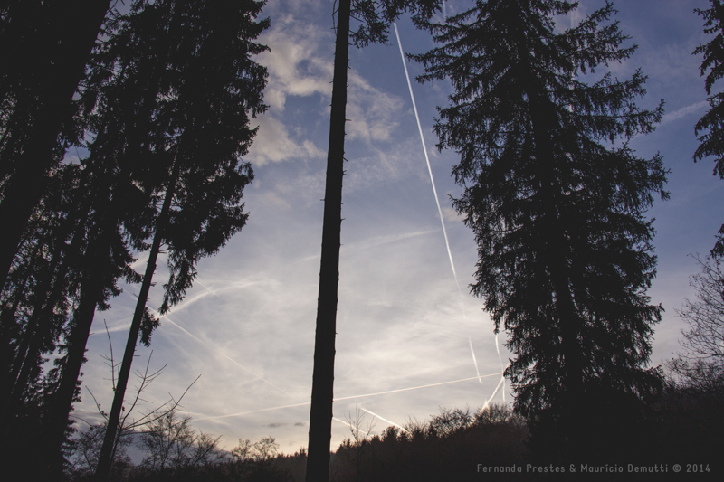 mullerthal trail Luxemburgo mullerthal trail Luxemburgo