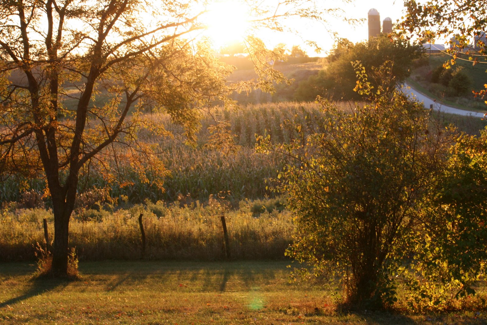PhotoZmom's Moments: Beautiful Autumn Evening in Iowa
