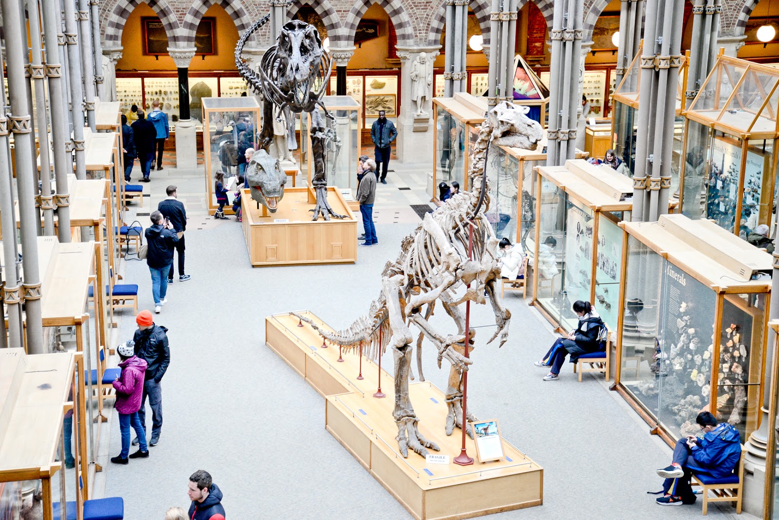 oxford museum, what to do during half term, local museums, local free indoor activities for kids, natural history museum, pitts river museum,