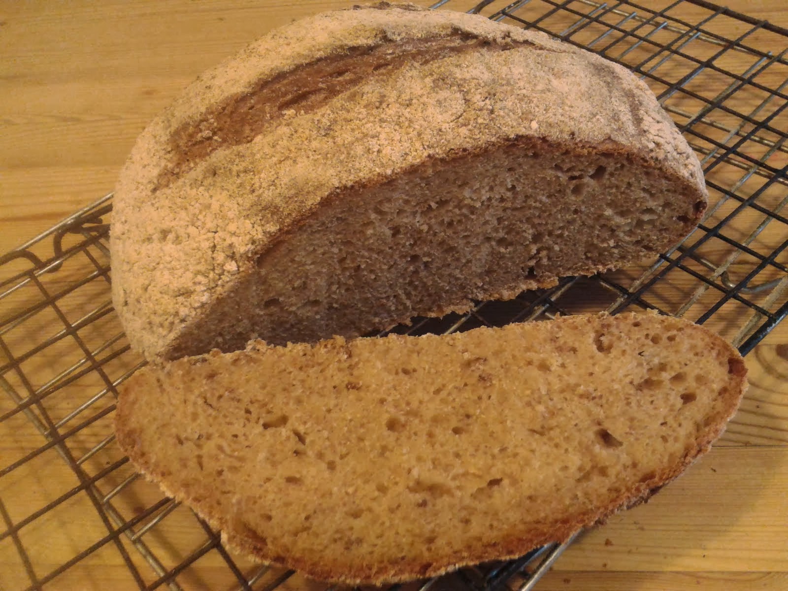 cookable Sourdough mojo w mixed flours