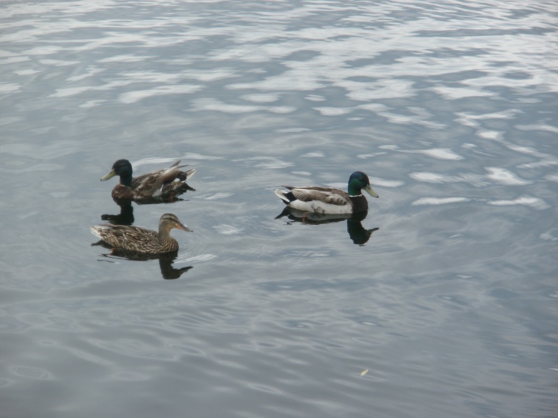 Raydiance: Lake Champlain