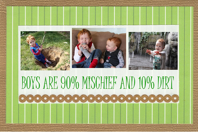 Boys are 90% Mischief and 10% Dirt