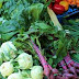 5 Basic Healthy Living Advice