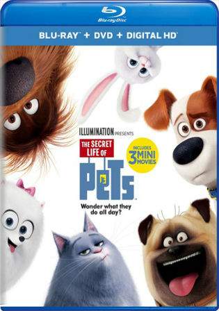 The Secret Life Of Pets 2016 BluRay 480p Hindi English Dual Audio ORG 280MB Watch Online Full Movie Download bolly4u