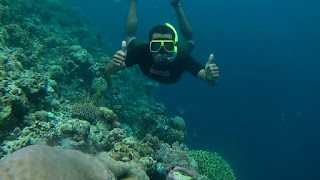 Wisata Bawah Laut Taman Nasional Baluran Wisata Bawah Laut Taman Nasional Baluran
