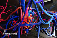 human body adventures