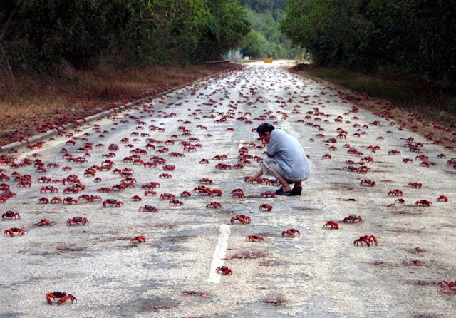 9 Strangest Ocean Phenomena You Wouldn't Believe Actually Exists!