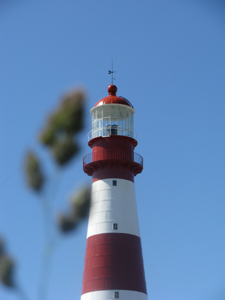 Tú eres el Faro que ilumina el Mundo