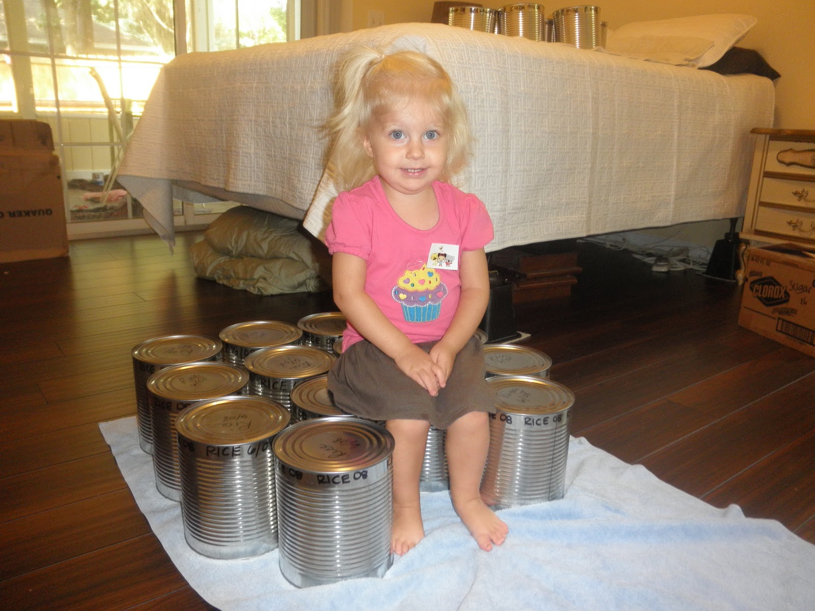 Safely Gathered In Underthebed storage