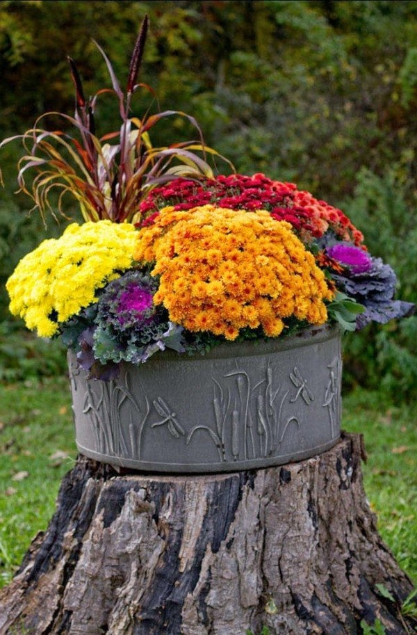 Creative ideas for flower pots in your garden!