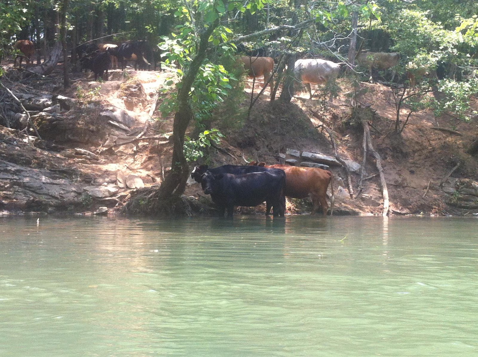 Where it Gets Awkward Tubular (Limestone Park Canoe and Tube Rentals)