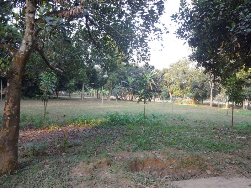 Commercial Land at Gazipur