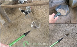 chicken coop sand chickens litter chick bedding run scooper superstar backyard effort cleaner less tips diy coops using scoopers drywall