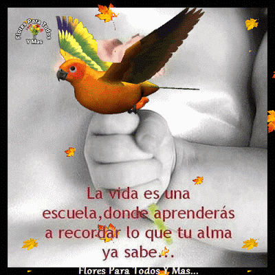 Ver las imágenes de origen