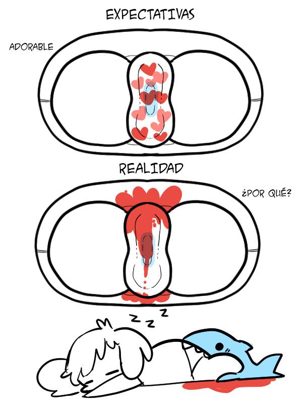 Imágenes que describen perfectamente el ciclo menstrual de una mujer