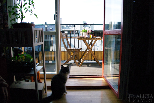 Photo by Alicia Sivertsson.
