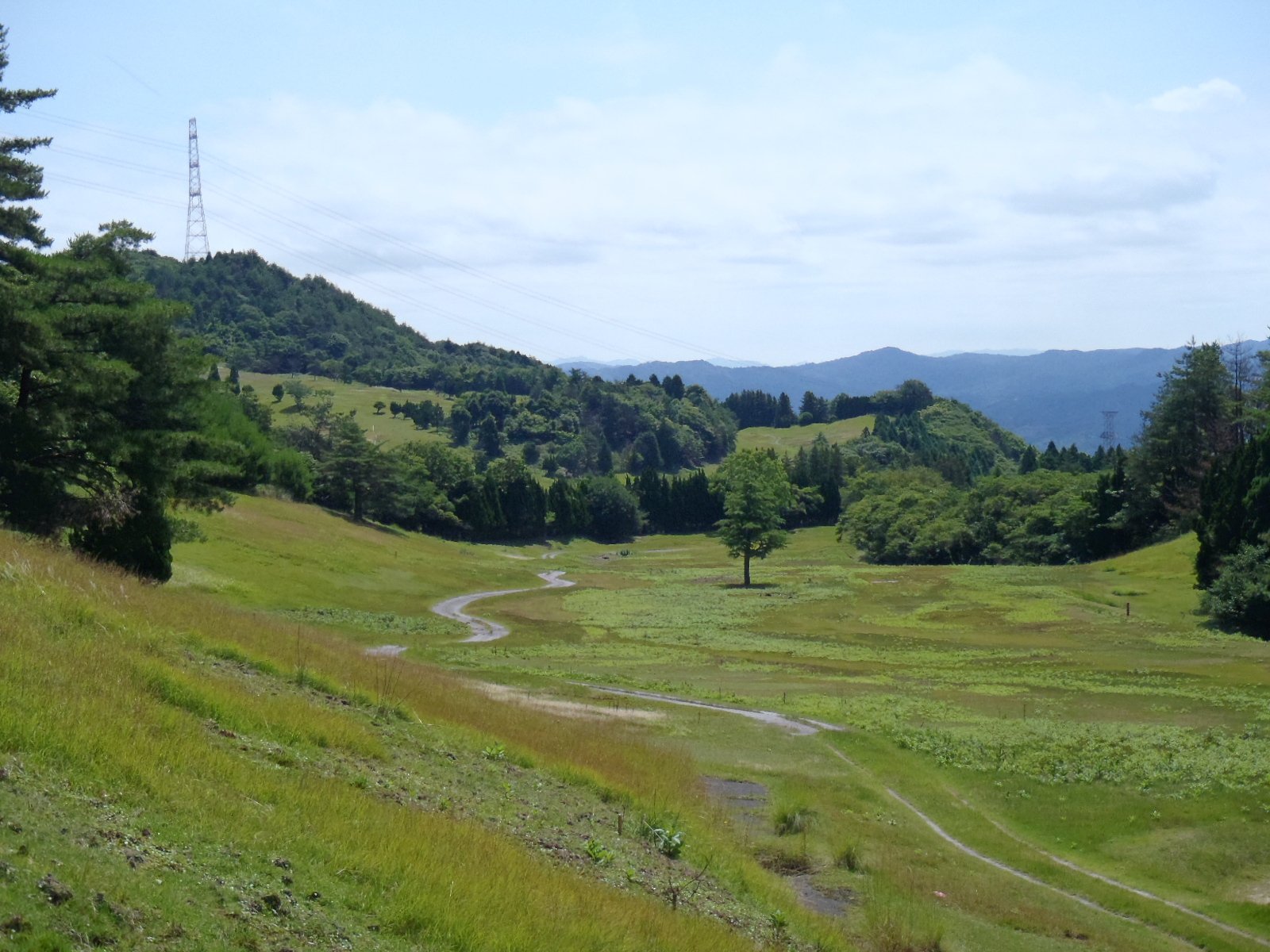 Japan’s Abandoned Golf Courses Are Being Transformed Into Solar Power Farms!