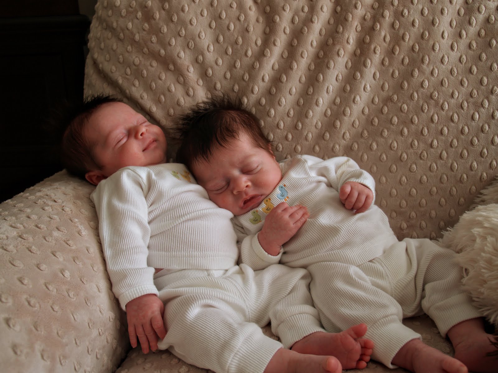 How Sweet It Is...: 1 Month Old!