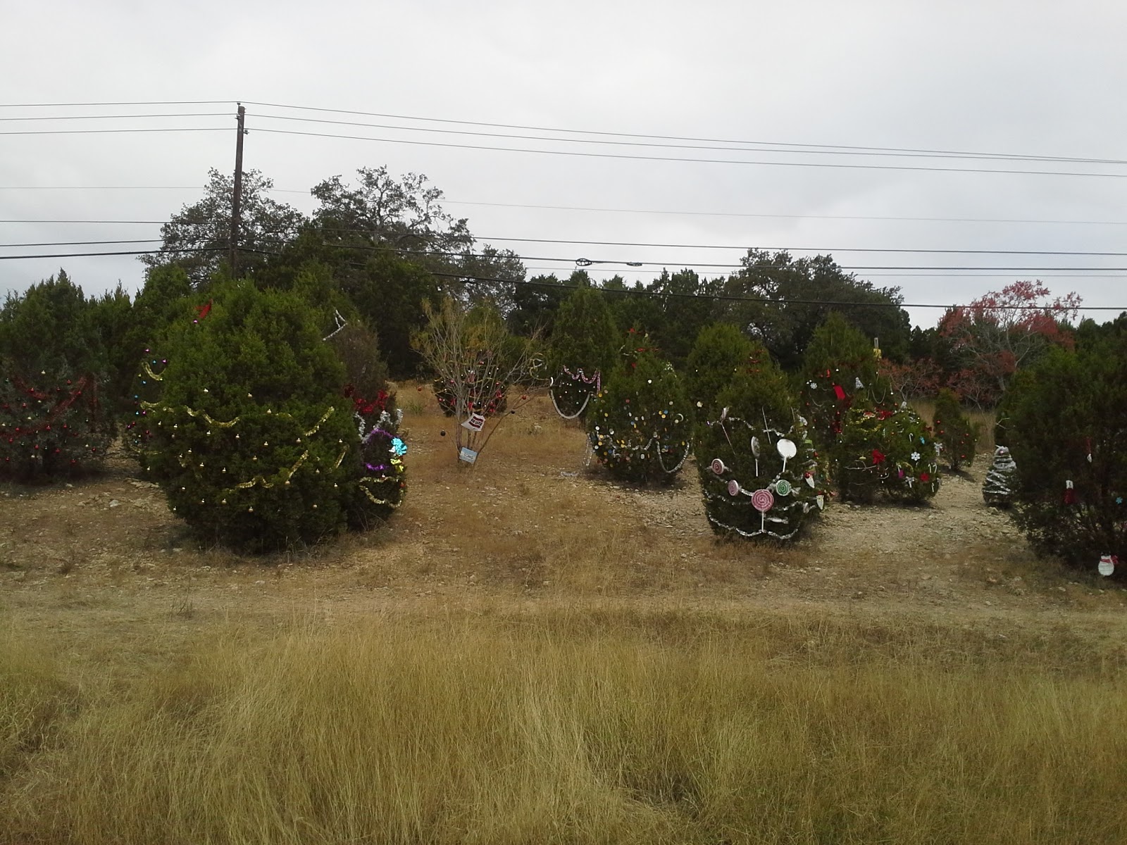 Unexpectedly Expecting Baby Christmas in Austin Decorating a