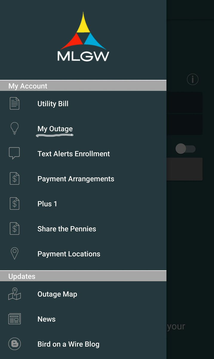 Bird On A Wire May 2017