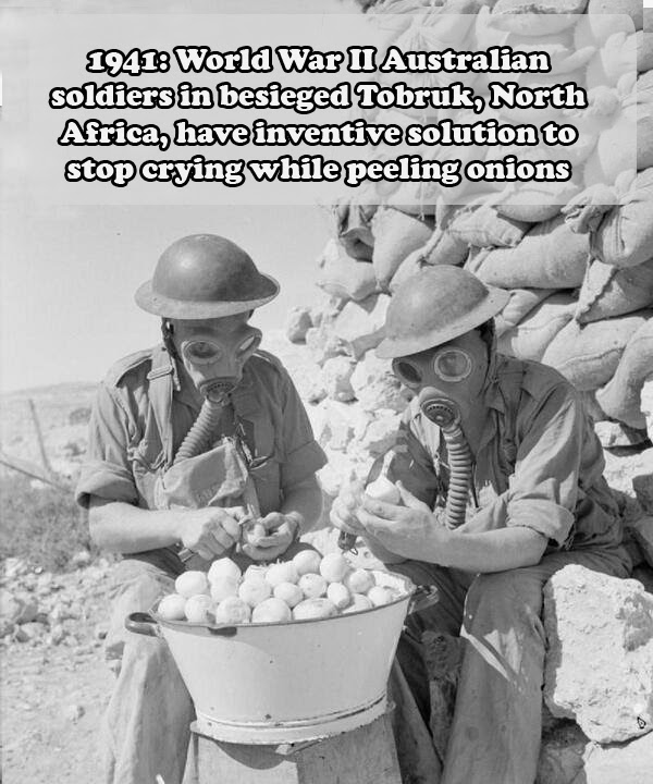 Peeling Onions on War fronts