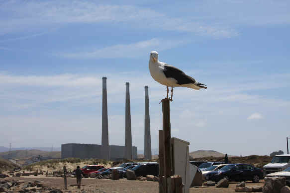 Power plant? What power plant? Power plant? What power plant?
