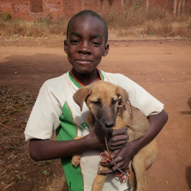 Lovely little boy and his dog!