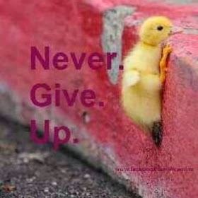  Never give up.