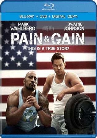 Pain and Gain 2013 BluRay 400MB Hindi Dual Audio 480p