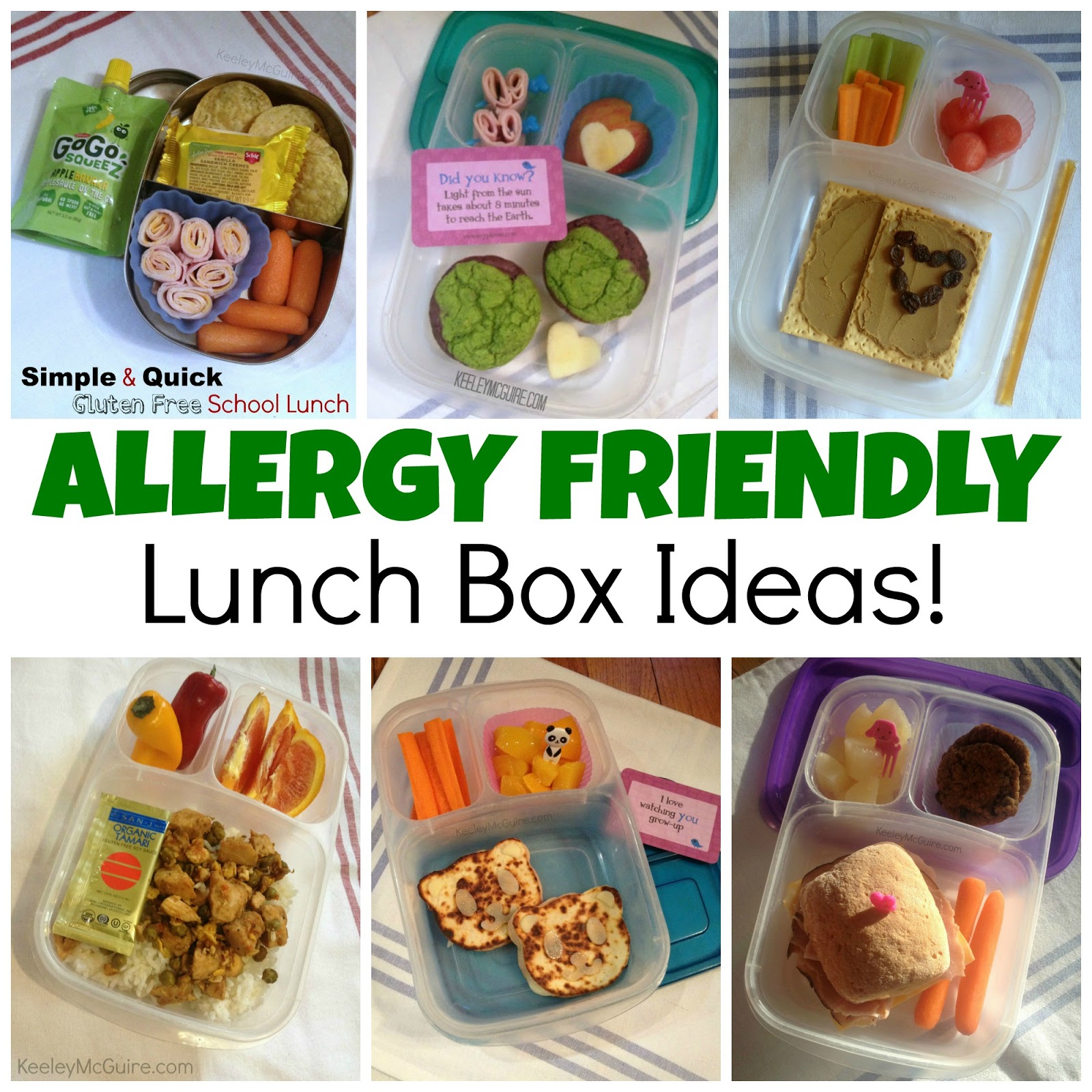 Gluten Free And Allergy Friendly Lunch Made Easy Allergy Friendly Lunch