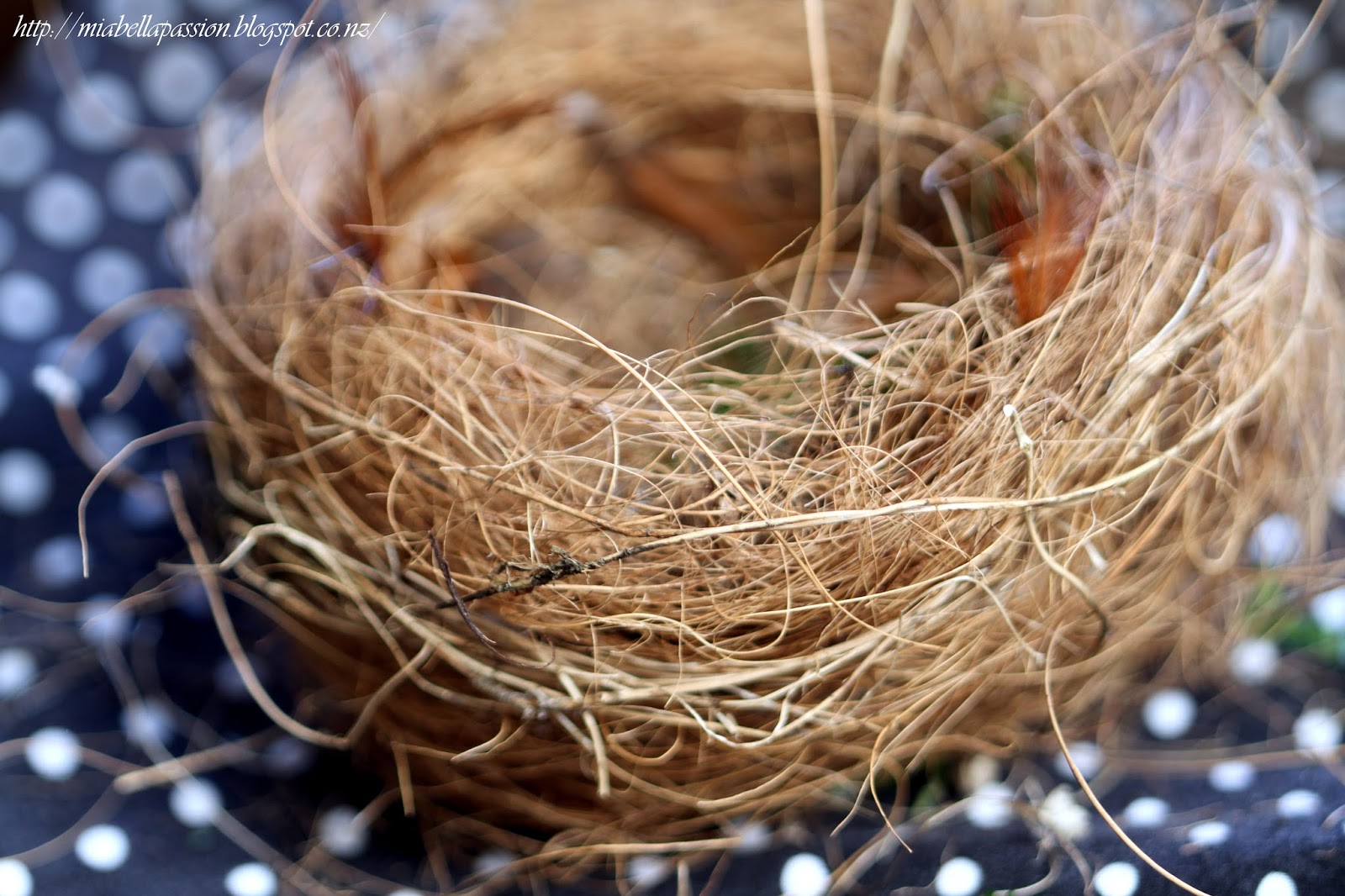 Mia Bella Passions: How To Make A Small Birdnest...